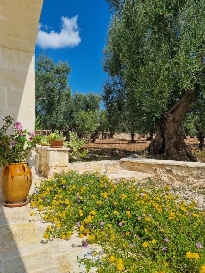 مبيت وإفطار غروتاليي Trulli Di Spinaruta المظهر الخارجي الصورة
