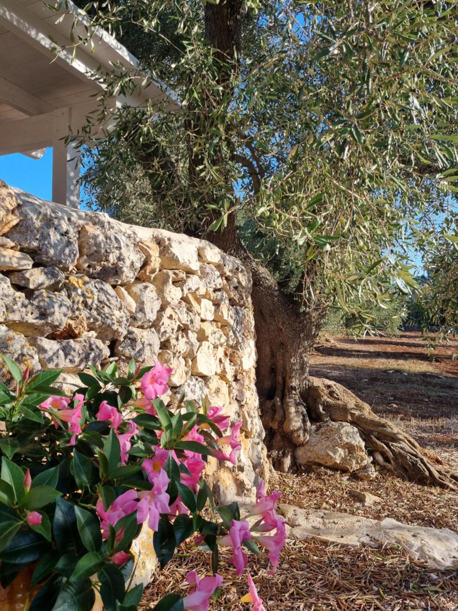 مبيت وإفطار غروتاليي Trulli Di Spinaruta المظهر الخارجي الصورة