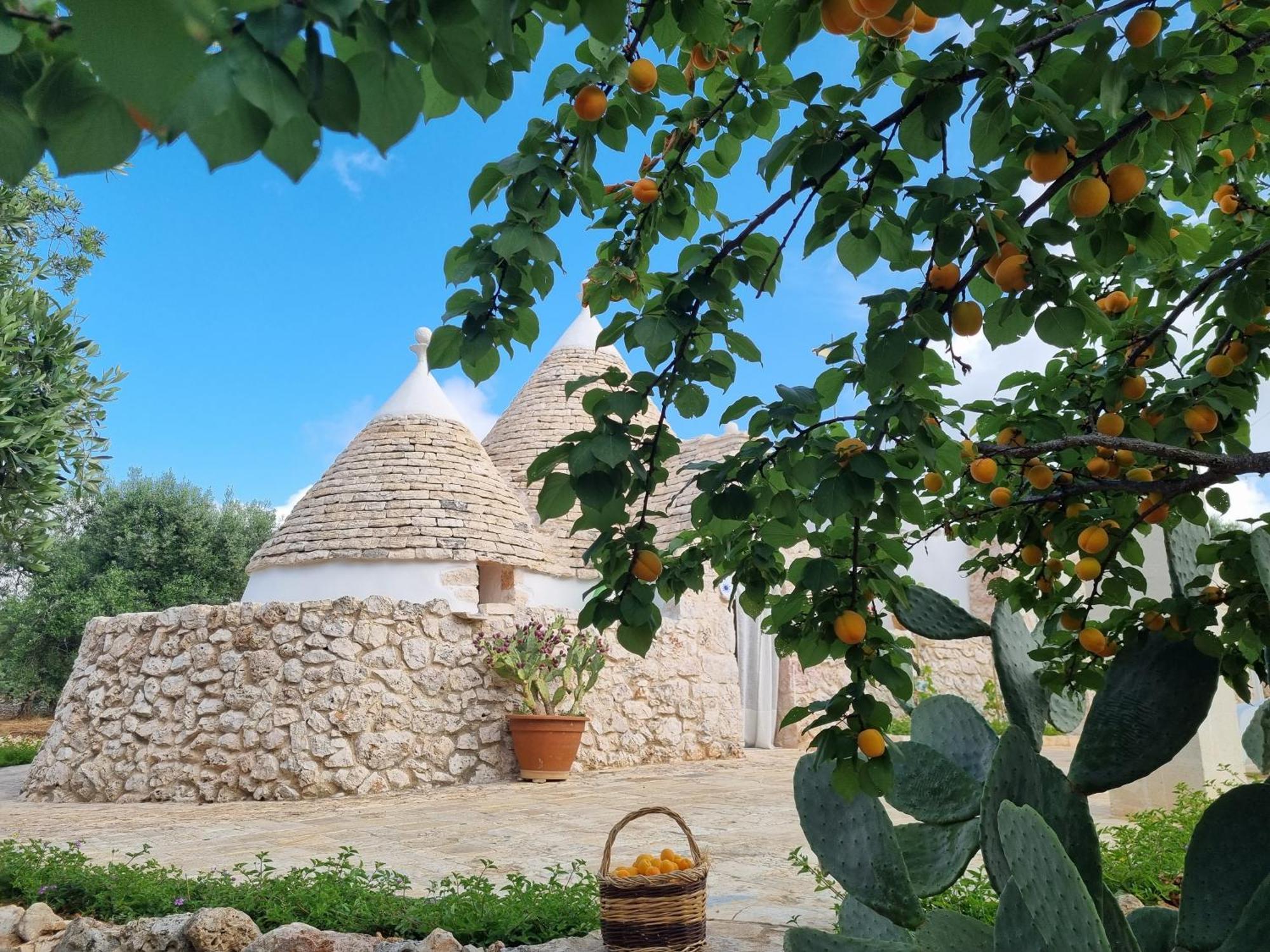 مبيت وإفطار غروتاليي Trulli Di Spinaruta المظهر الخارجي الصورة
