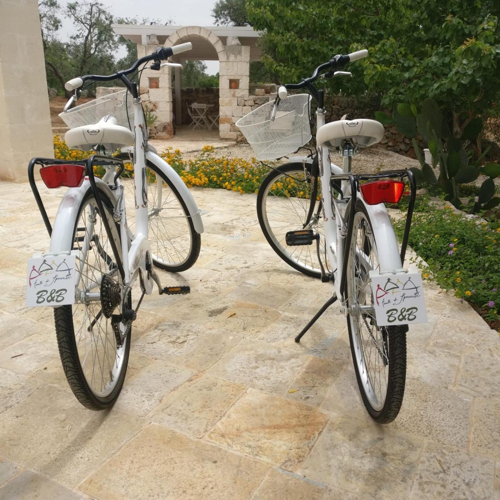 مبيت وإفطار غروتاليي Trulli Di Spinaruta المظهر الخارجي الصورة