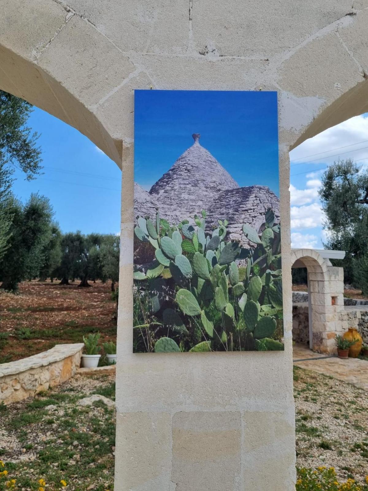 مبيت وإفطار غروتاليي Trulli Di Spinaruta المظهر الخارجي الصورة